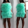 Cluless feather tube dress